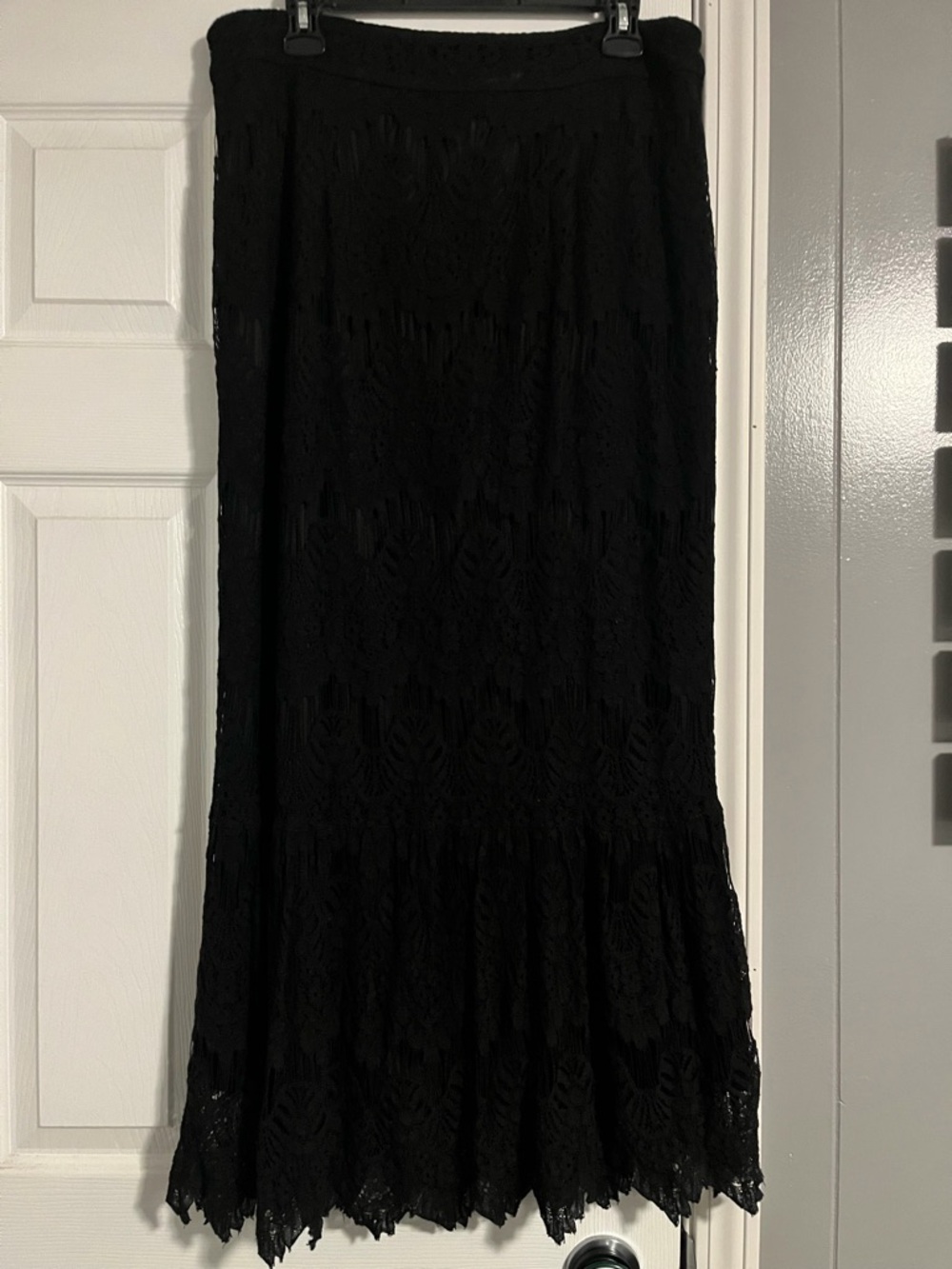 Dainty Jewell’s Lace Skirt
